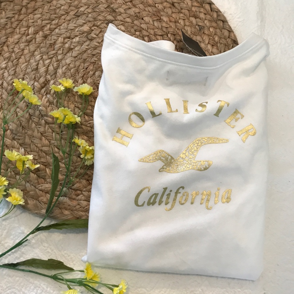 NWT Hollister V Neck Cute Tee Shirt